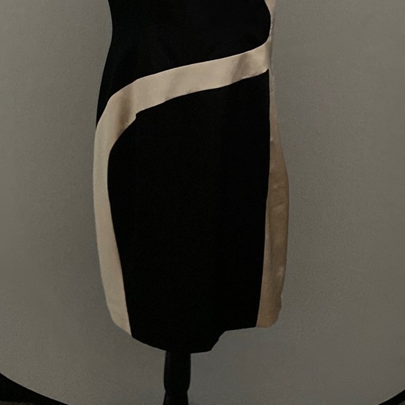 Satiny Dress - Picture 8 of 9